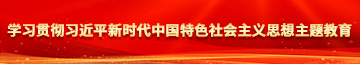 男人插女人屄免费网站学习贯彻习近平新时代中国特色社会主义思想主题教育